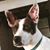 Cheryl Martel Stewart's profile image