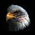 Christopher Page's profile image