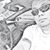 Roldan R. Guingao's profile image