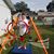 Tracy Hysell's profile image