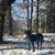 Christine Wickenheiser's profile image