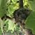 Michelle Baird's profile image
