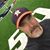 Tim English's profile image
