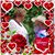 Ofelia Hinojosa's profile image