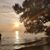 Keith Terri Gibbs Butler's profile image