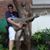 Ismael Carrasquillo's profile image