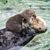 Pamela Pearce Bartholomew's profile image