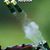 Dustin Nehring's profile image