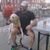 Brian Elms's profile image