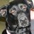 Kimmie Parr Shafer's profile image