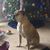 Barbara Higginbotham's profile image