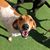 Christopher Mackert's profile image