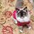 Christa Anderson's profile image