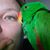 Nicki Whiteman's profile image