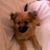 Sharon Morgan's profile image