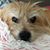 Dana Barker Coates's profile image