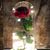 Laverne Campana's profile image