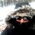 Beth Nichols Wintle's profile image
