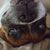 Cin Baptista Almeida's profile image