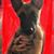 Saundra Schultz's profile image