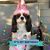 Betty Fleeson King's profile image