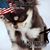 Gail Swingle's profile image