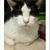 Rayann Angell's profile image