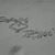 Arsan Wester's profile image