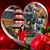 Phuong Tran's profile image