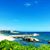 Nazare Marques's profile image