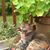 Katherine Metzo's profile image