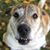 Susan Pinch's profile image