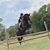 Lesa Carter DeLong's profile image