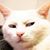 Lena Anderson's profile image