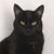 Stacey Otter Wright's profile image