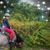 Dorothy Ann Macleod's profile image