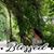 Mary Mitchell's profile image