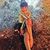 Dalia Torres's profile image