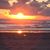 Sandi Copp's profile image