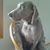 Cathy Ray Elsasser's profile image