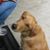 Joanne Balcom's profile image