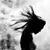 Nancy Parkins's profile image