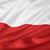 Marcin Szuraj's profile image