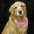 Barb King's profile image