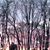 Susan Kosman Benner's profile image