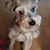 Betty Graham's profile image
