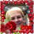 JoAnn Connell's profile image
