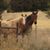 Barbara Lane Steigman's profile image
