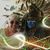 Rosie Gencarelli's profile image