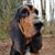 Heather Burleson's profile image